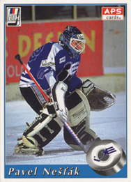 Pavel Nešťák, HC Kometa BVV Brno
