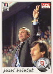 Josef Paleček, HC Pojišťovna IB Pardubice