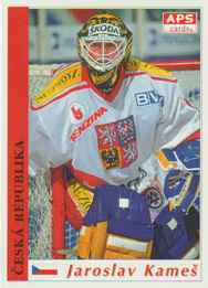 Jaroslav Kameš, Reprezentace ČR