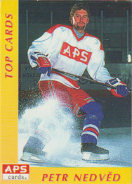 Petr Nedvěd, APS