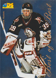 Dominik Hašek