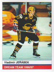 Vladimír Jeřábek, HC Chemopetrol Litvínov